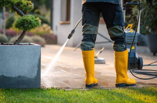 Best House Pressure Washing  in Winnie, TX